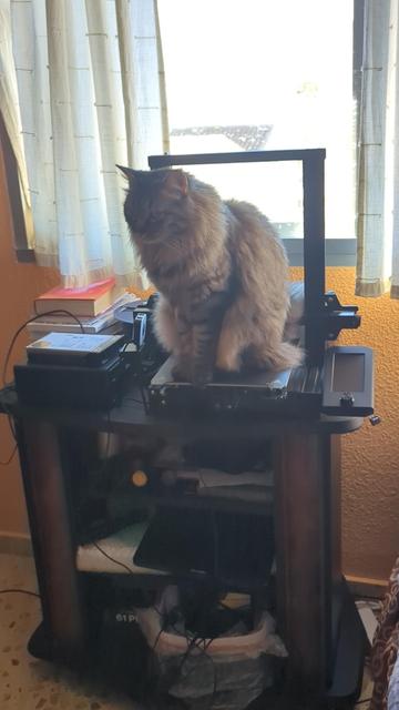 Posted media